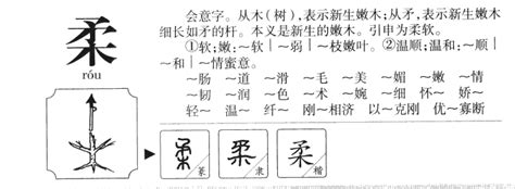 柔五行|柔字五行属什么